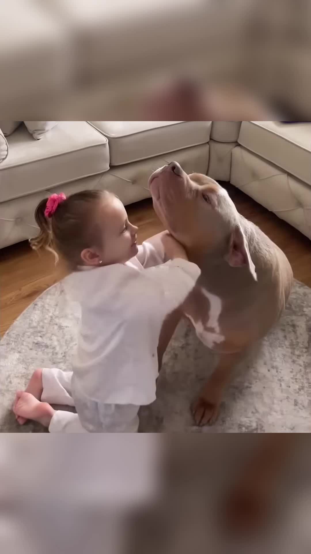 @Animals Stories