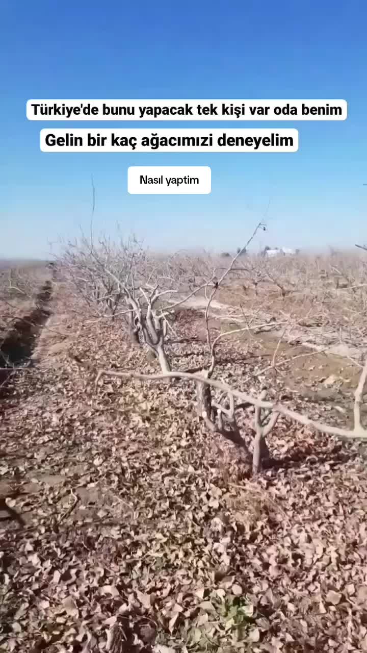 @DrBaran07