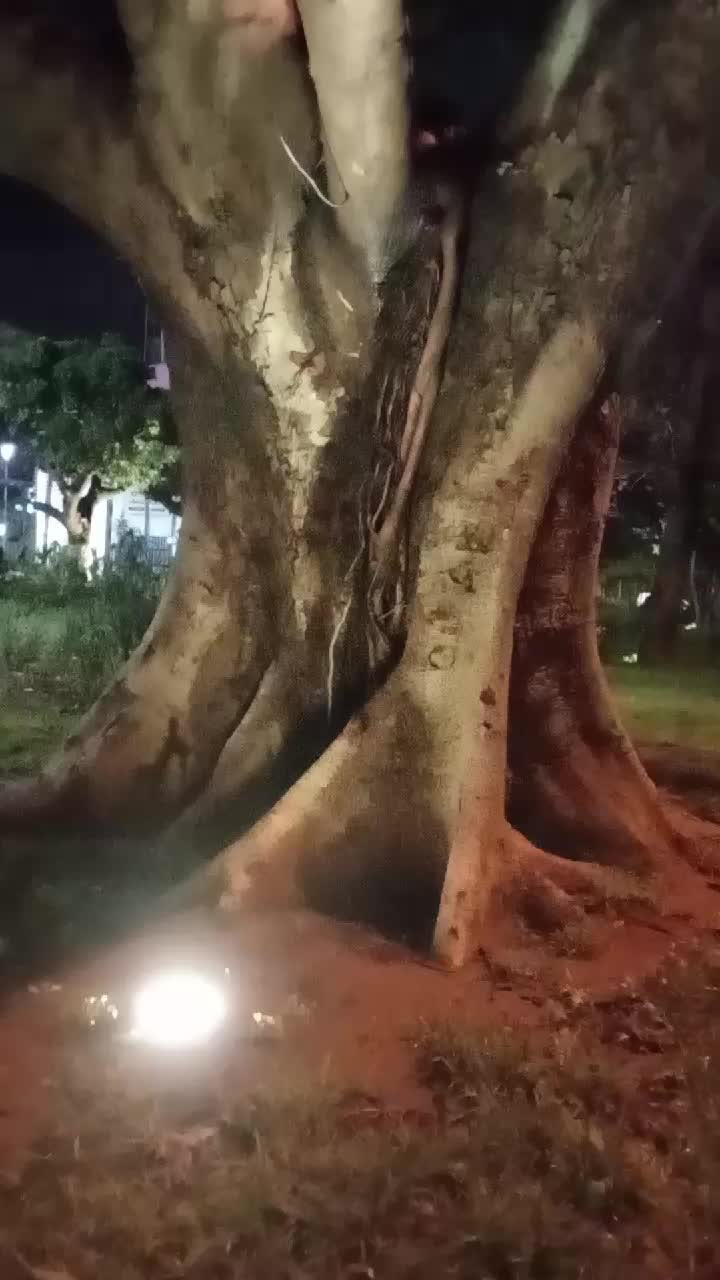 @nature
