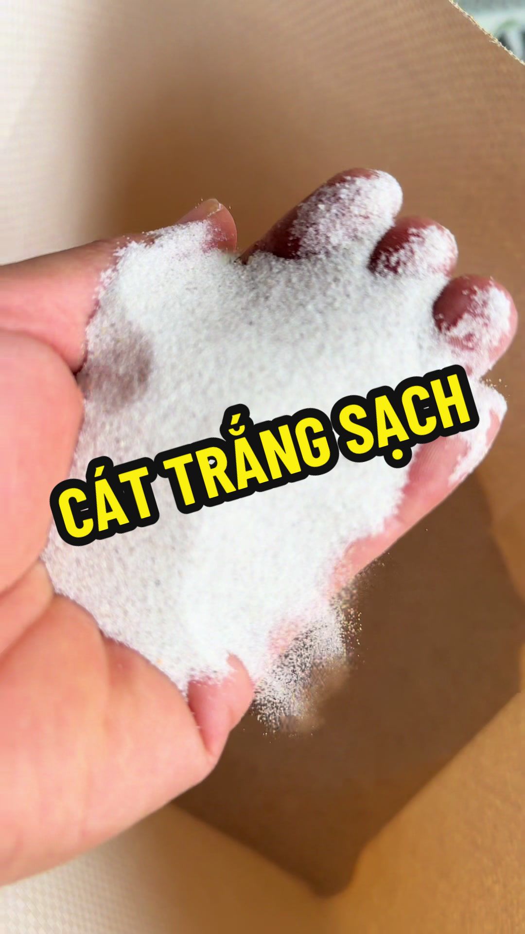 @C&aacute;t Trắng Thi&ecirc;n Nhi&ecirc;n