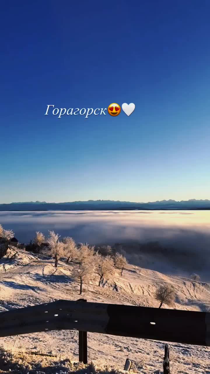 @GANGSTER 95