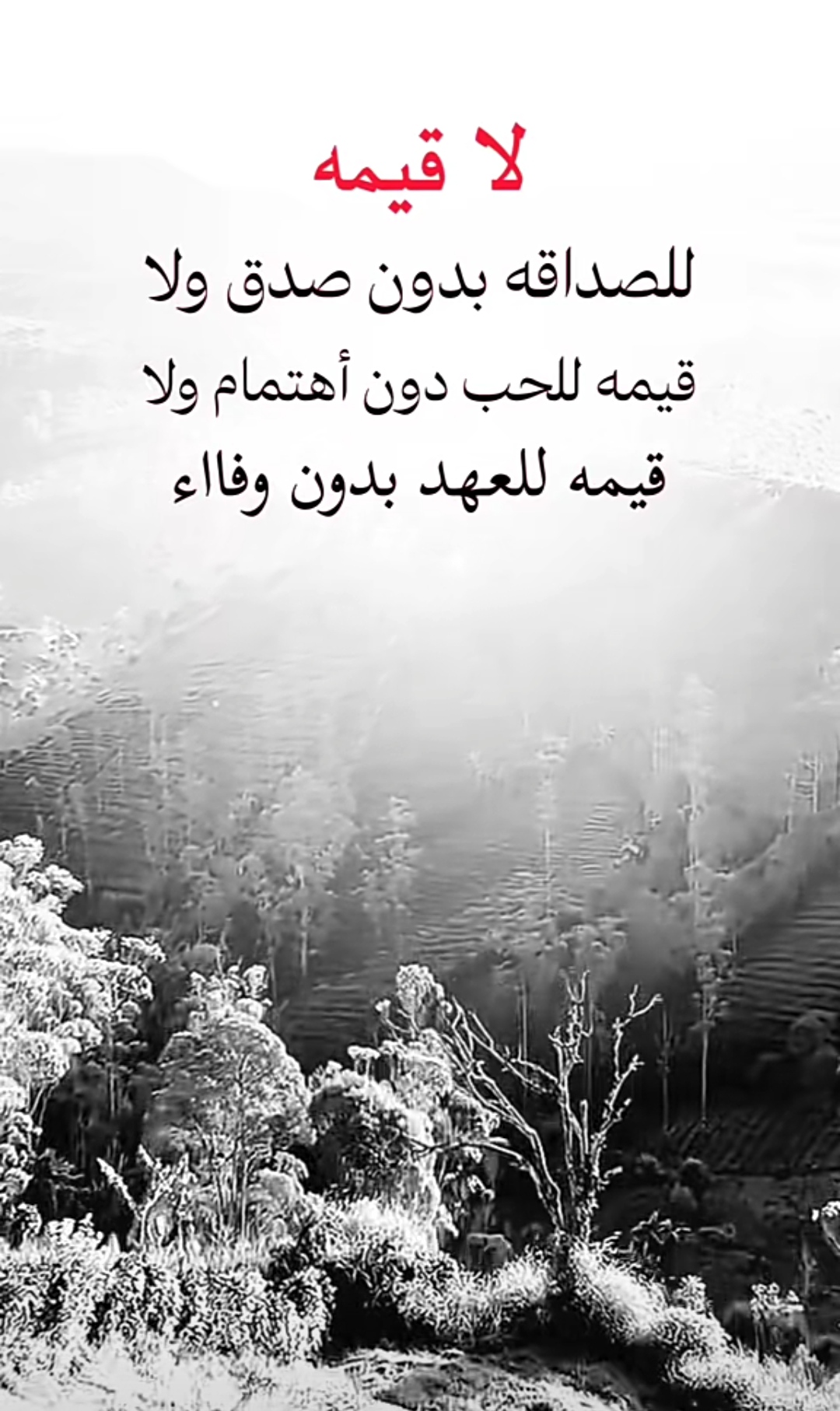@سطايفي مريول