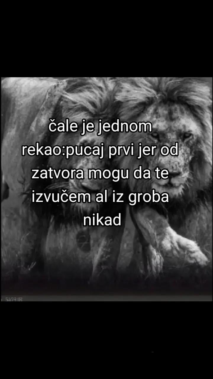 @Ŧ_Ř_&Aring;_Ĵ_Ķ_&Oslash;_V_Ş_Ķ_Ĩ🫡