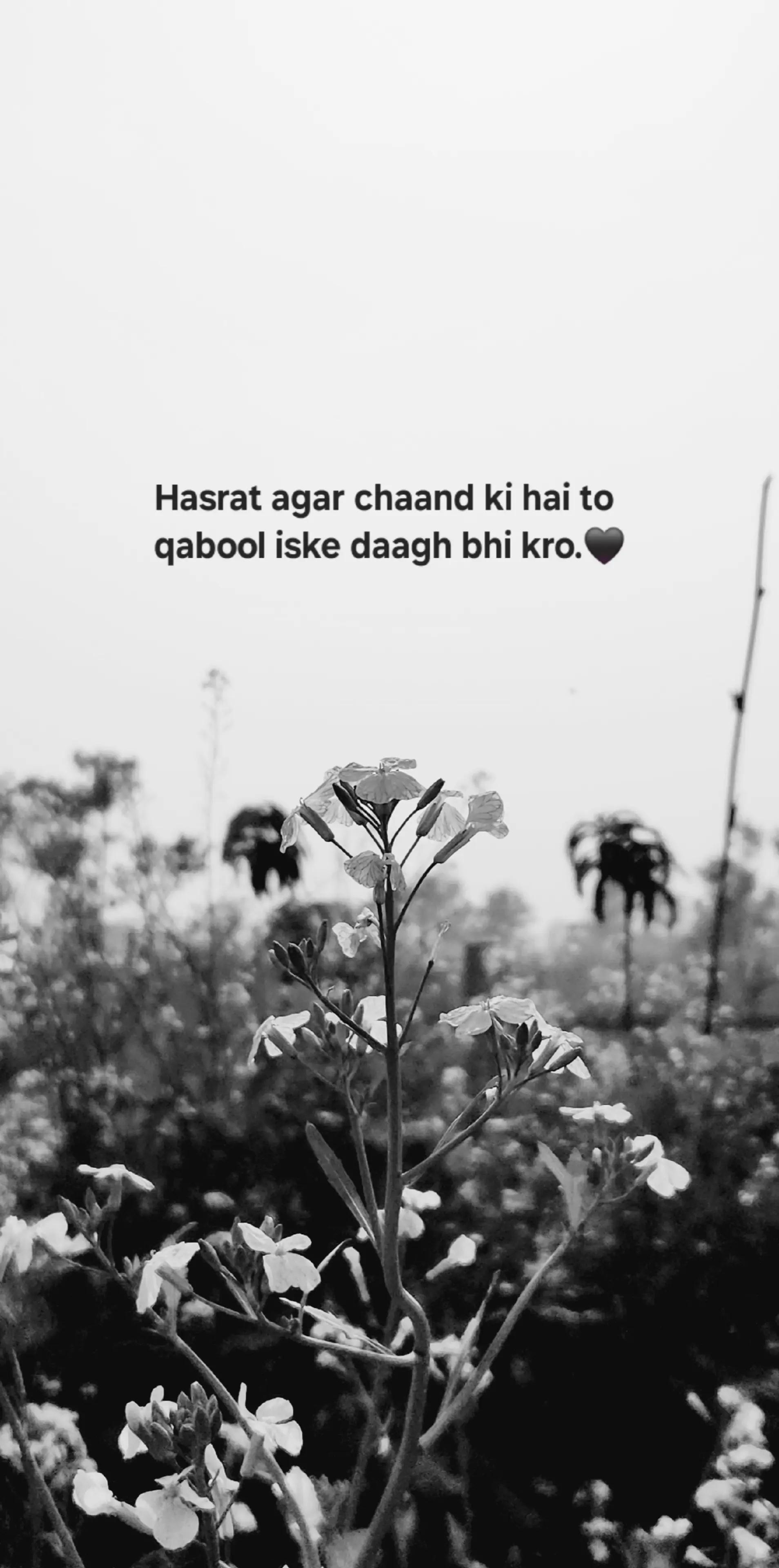 @lifewith.ahmad