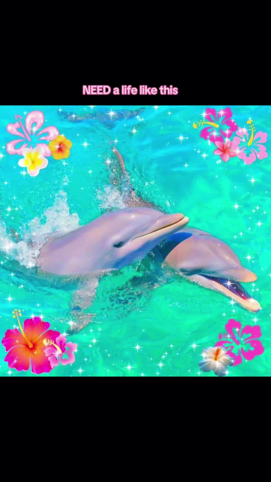 @Mel❀
