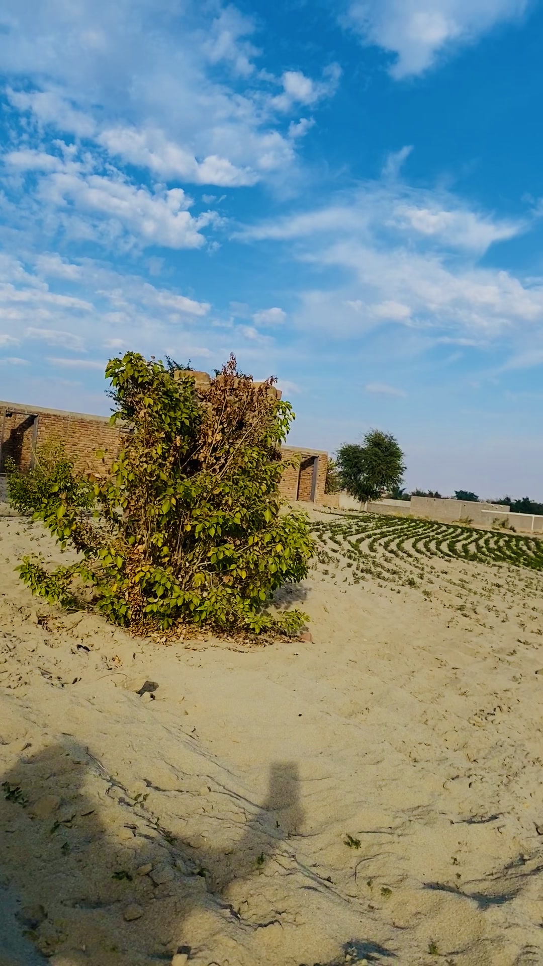 @Inayat Wazir