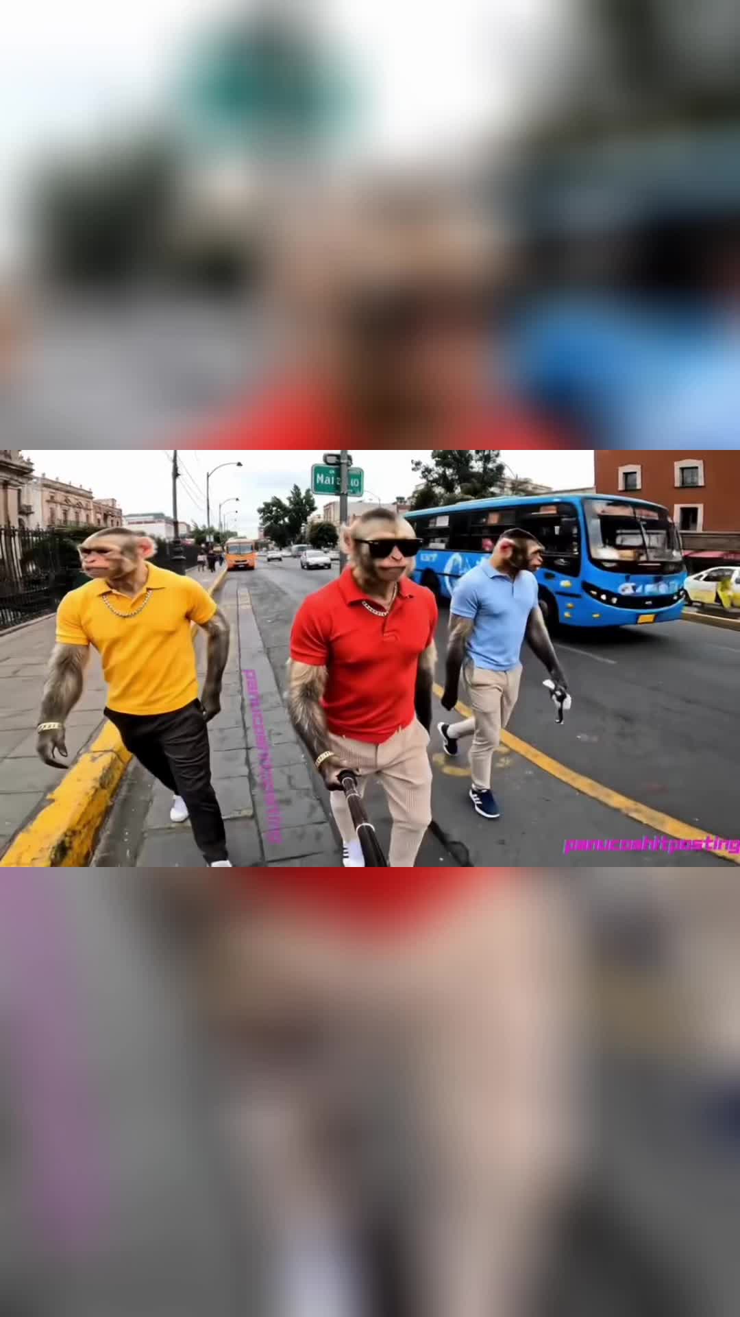 @PánucoShitposting