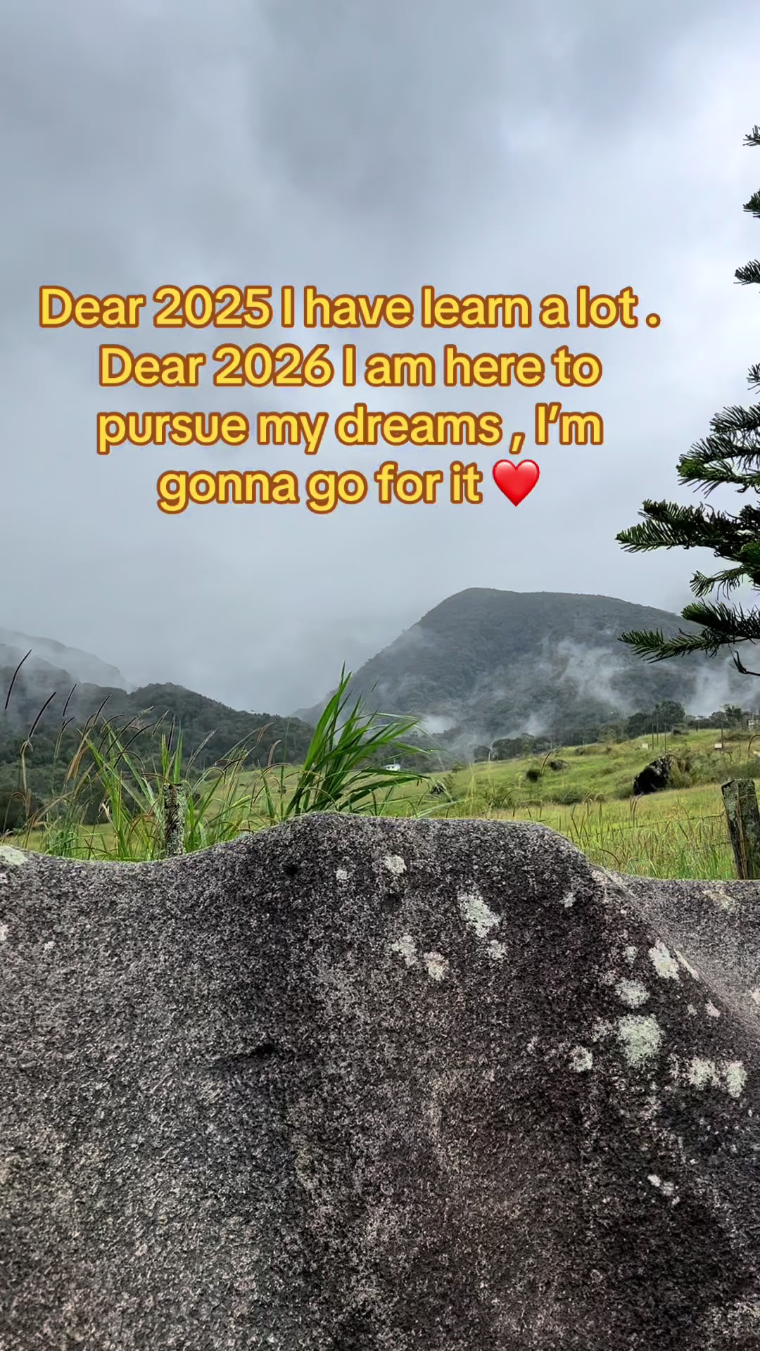 @DanishBryanOfficial