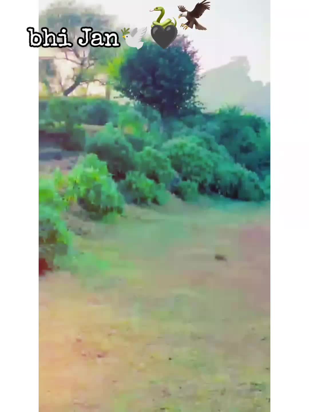 @亗&nbsp;&Oslash;&yen;&euro; Ř&Delta;ŞĦƗƗ  亗