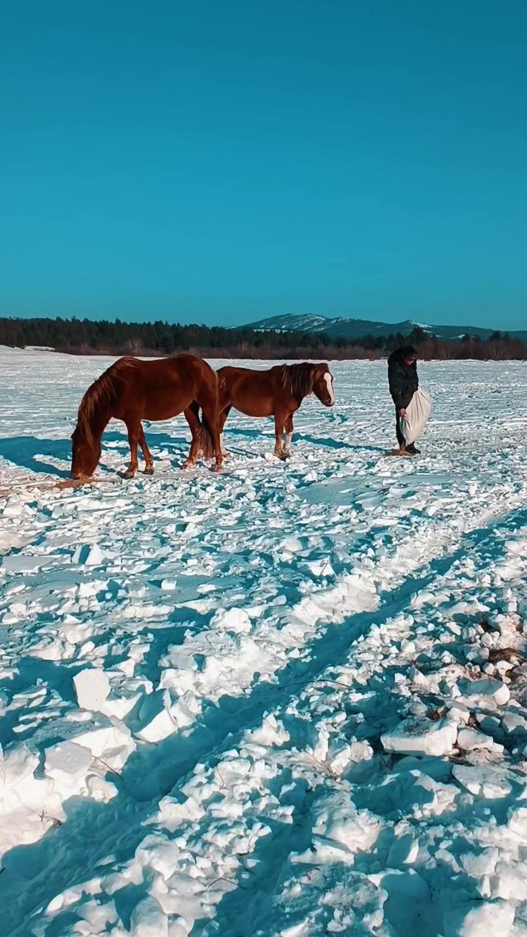 @UyliaK