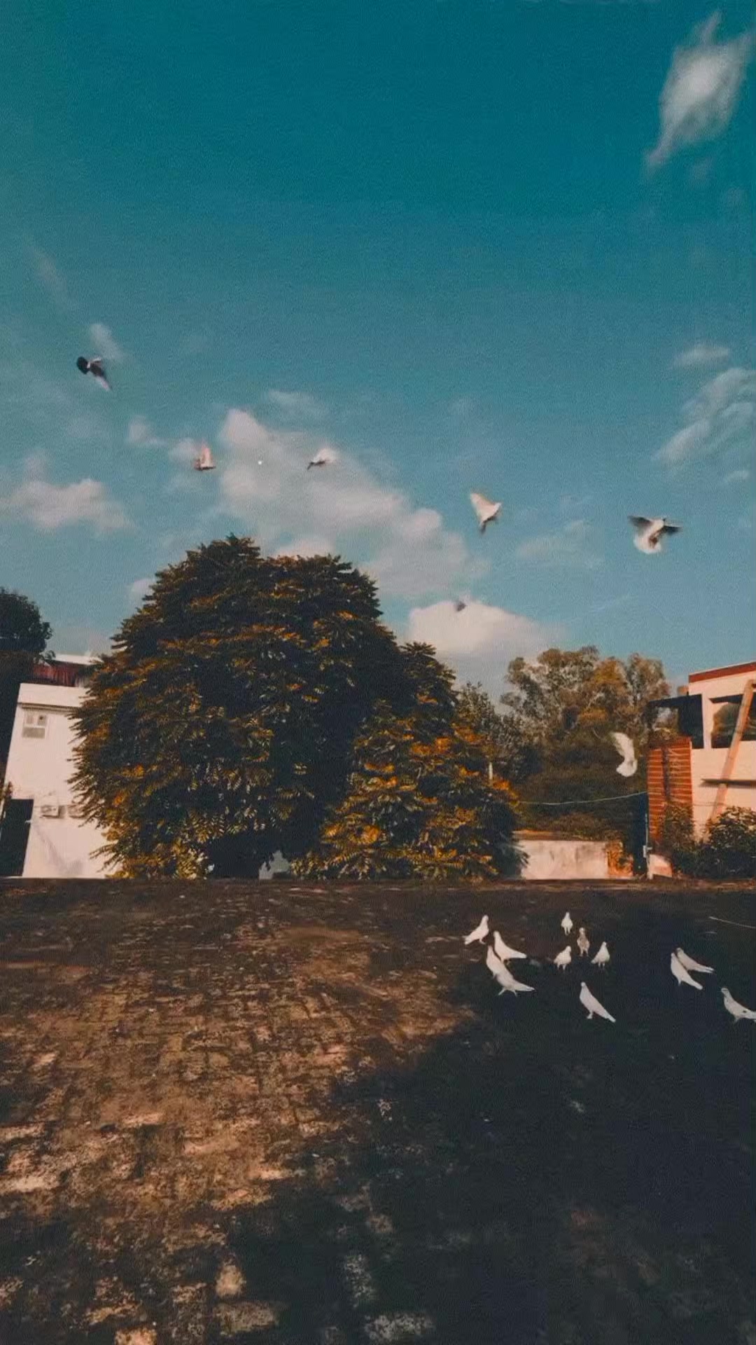 @ʜᴀɪᴅᴇʀɪ__wri8s