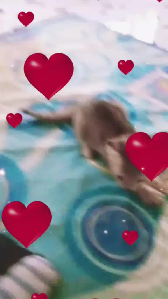 @வேணுவேணு