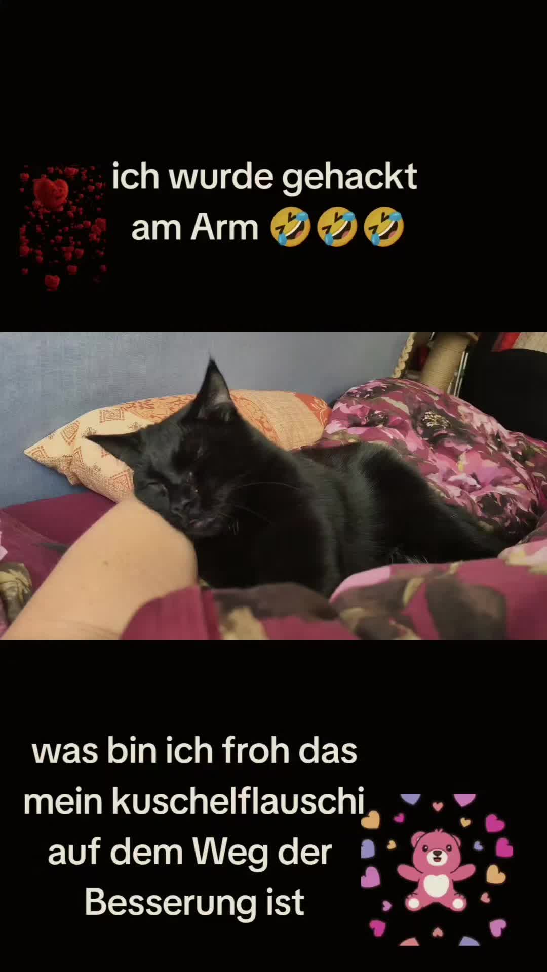 @Asmodina🦇
