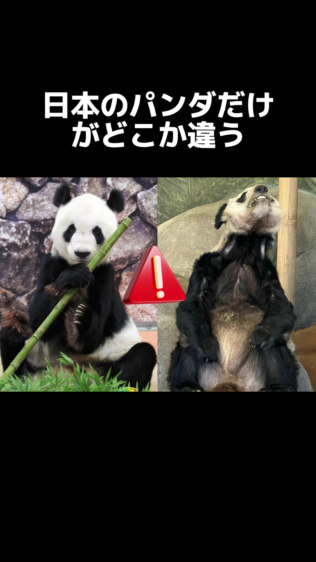 @名もなき情報屋