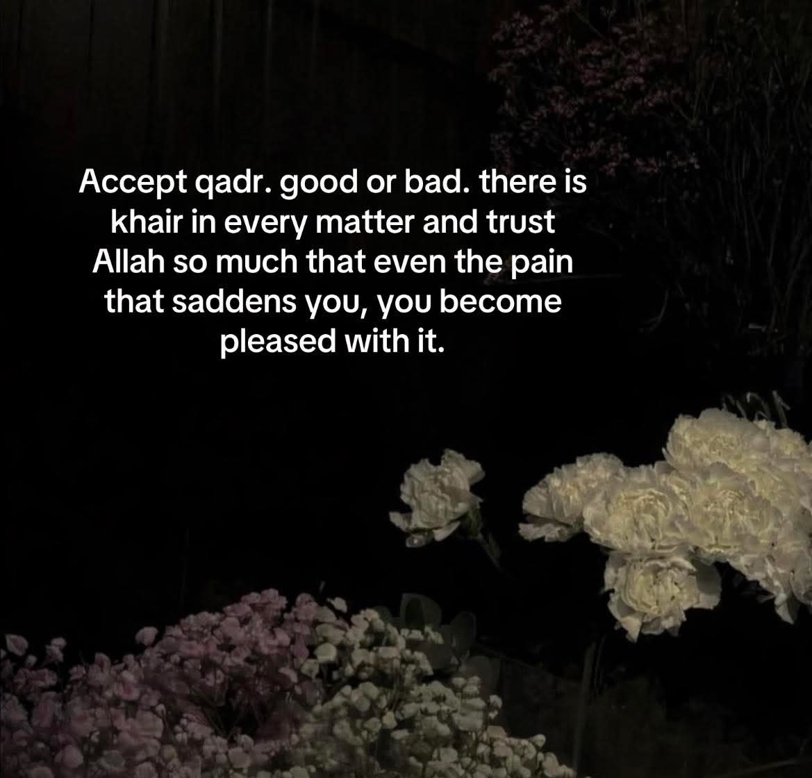 @salma ali