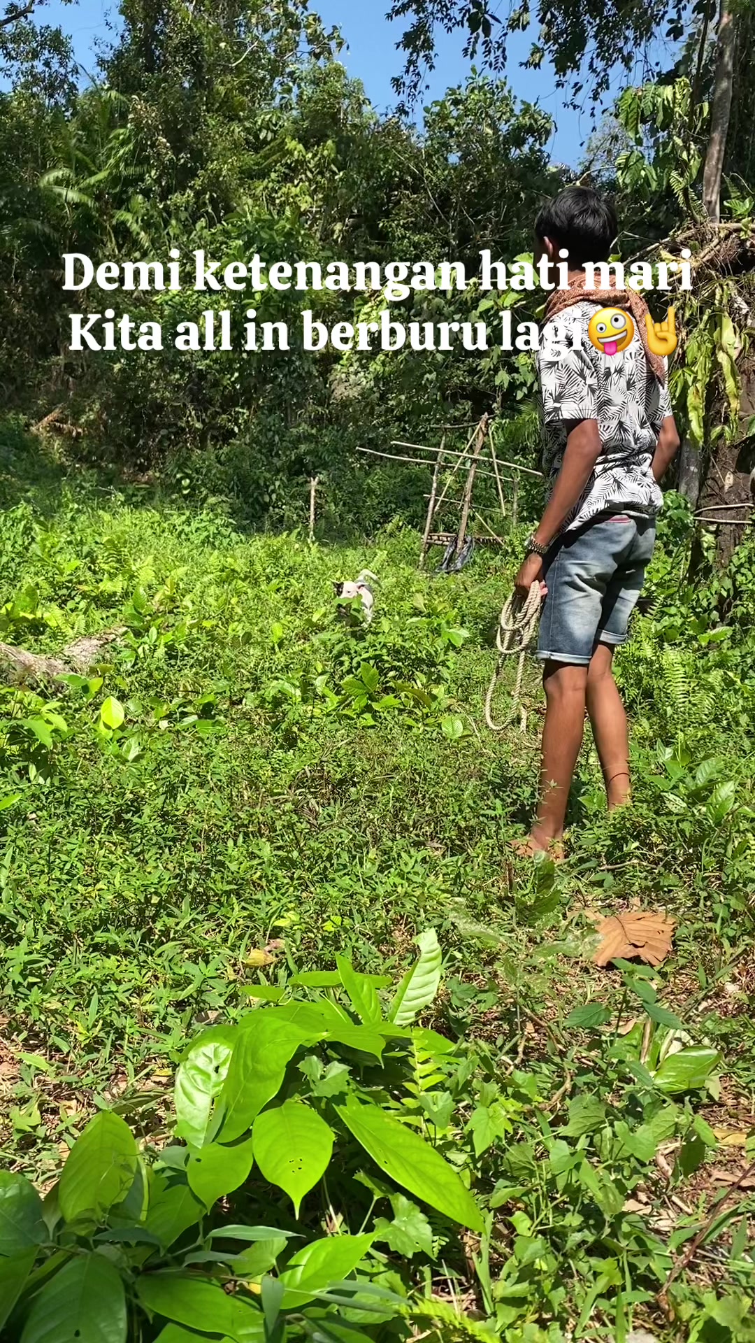 @Jabua