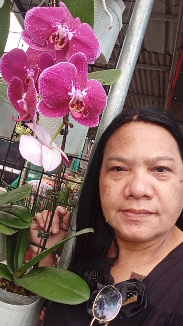@lynlyn Patrimonio tiktoker