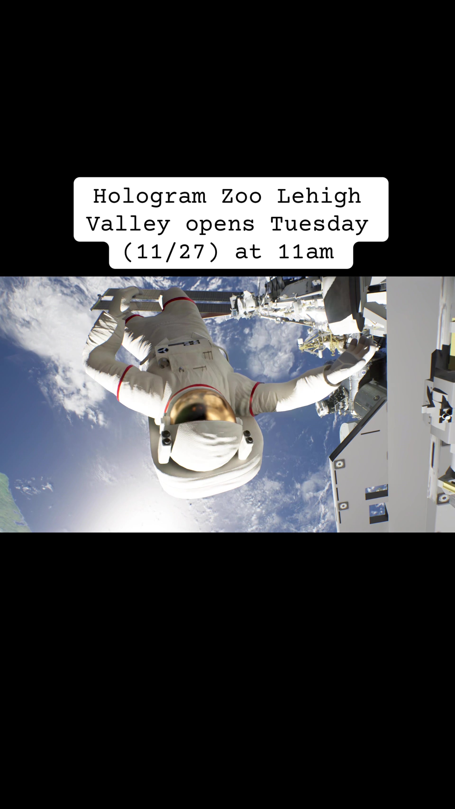 @Hologram Zoo Lehigh Valley