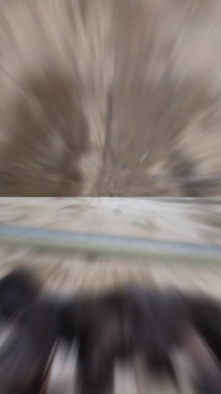 @trivy