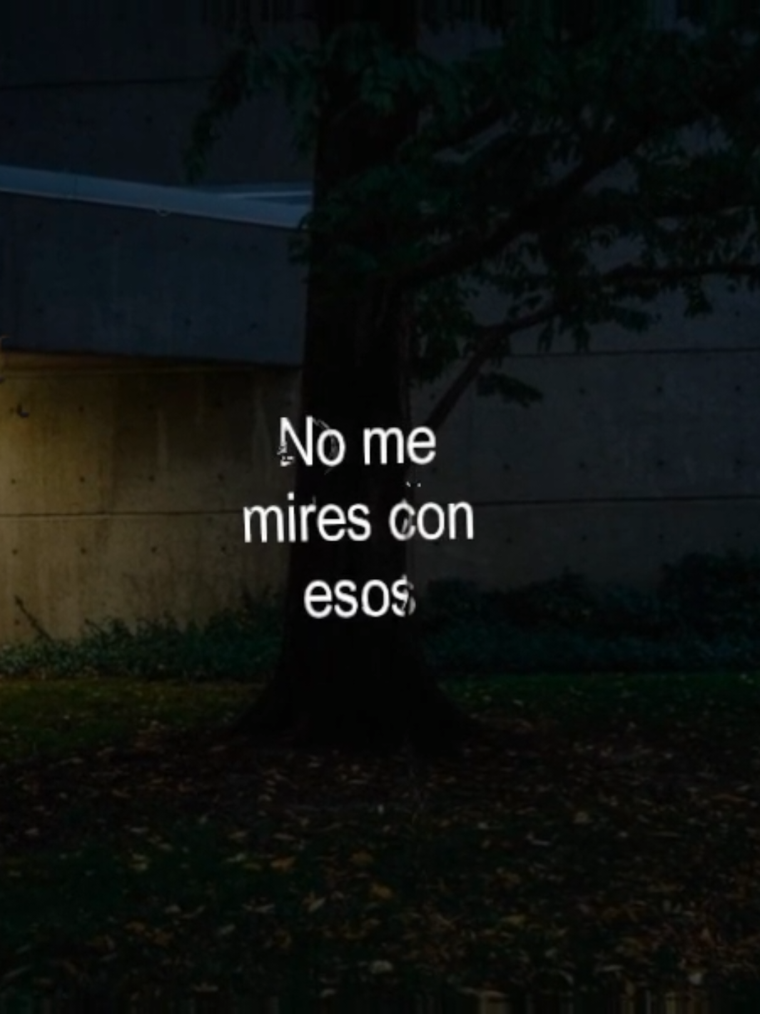 @Ly𝐑𝐚𝐢𝐧.
