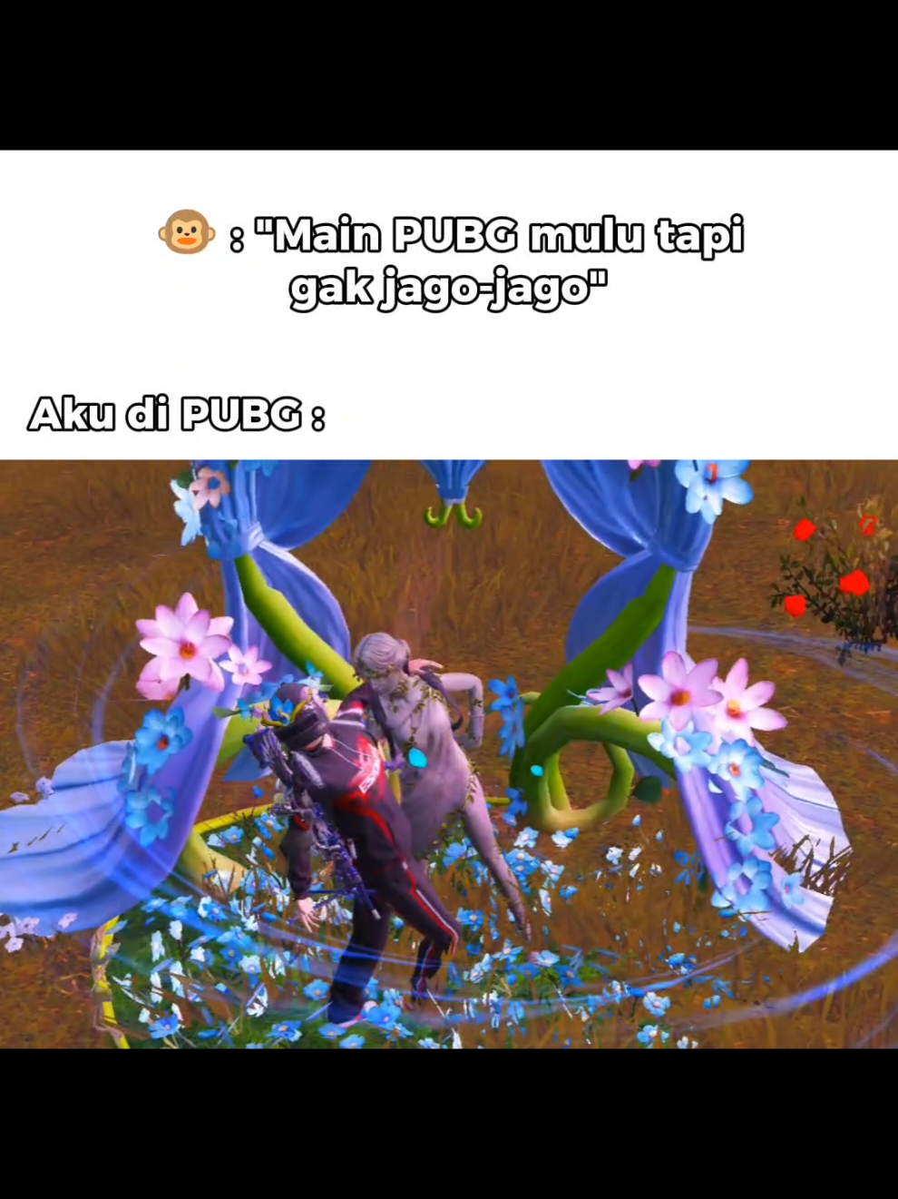 @𝗣&AElig;𝗖𝗛𝗬𝗬