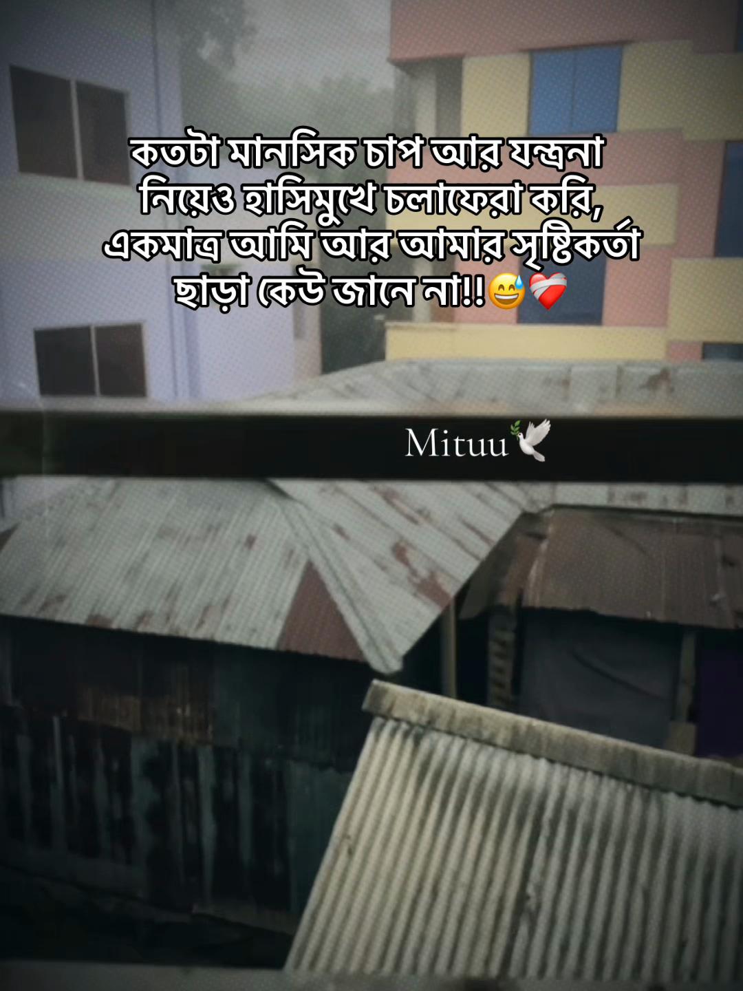 @Mituu🕊️💗