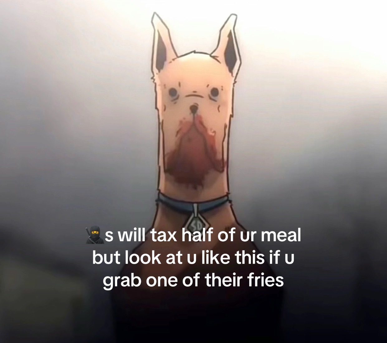 @myf