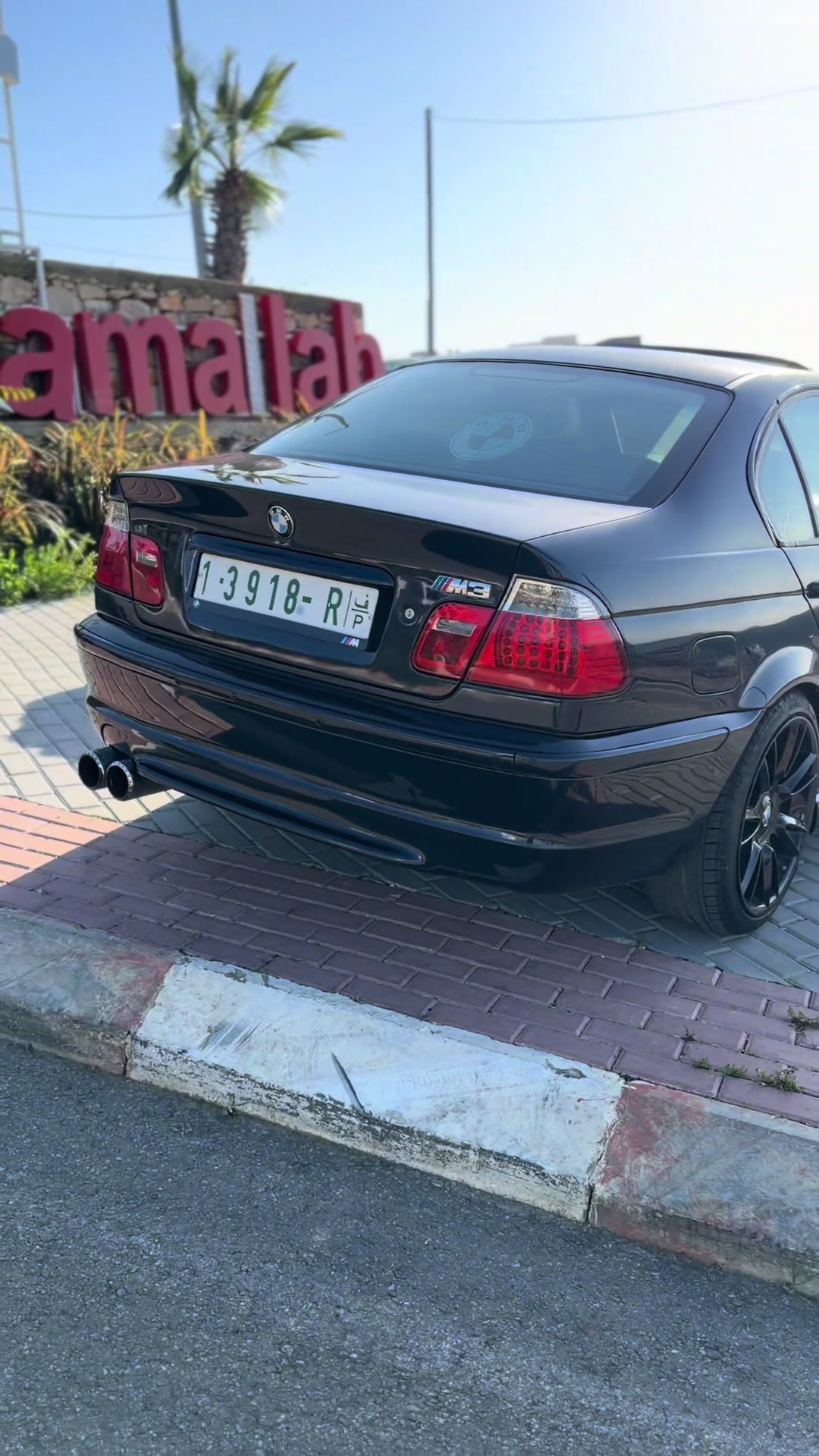 @علي مجاهد