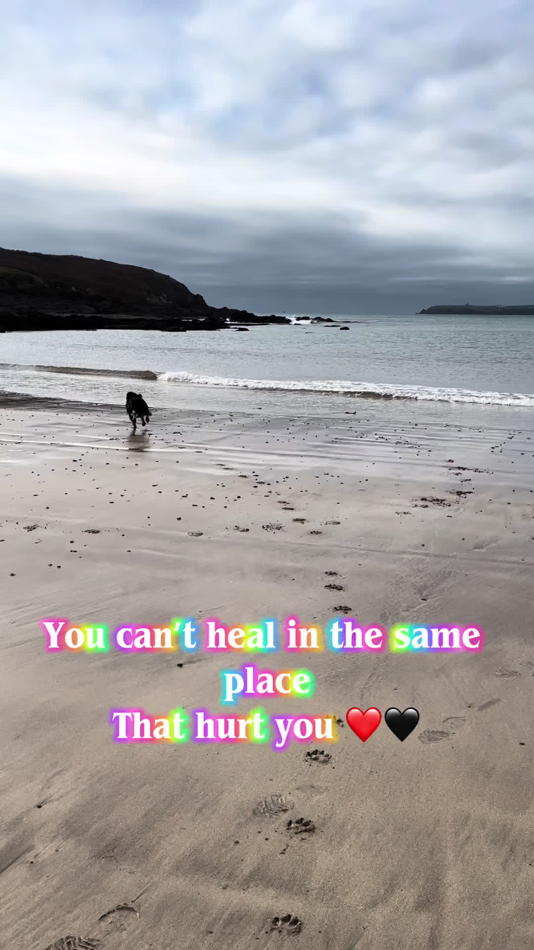 @Queenbee 👑🐝
