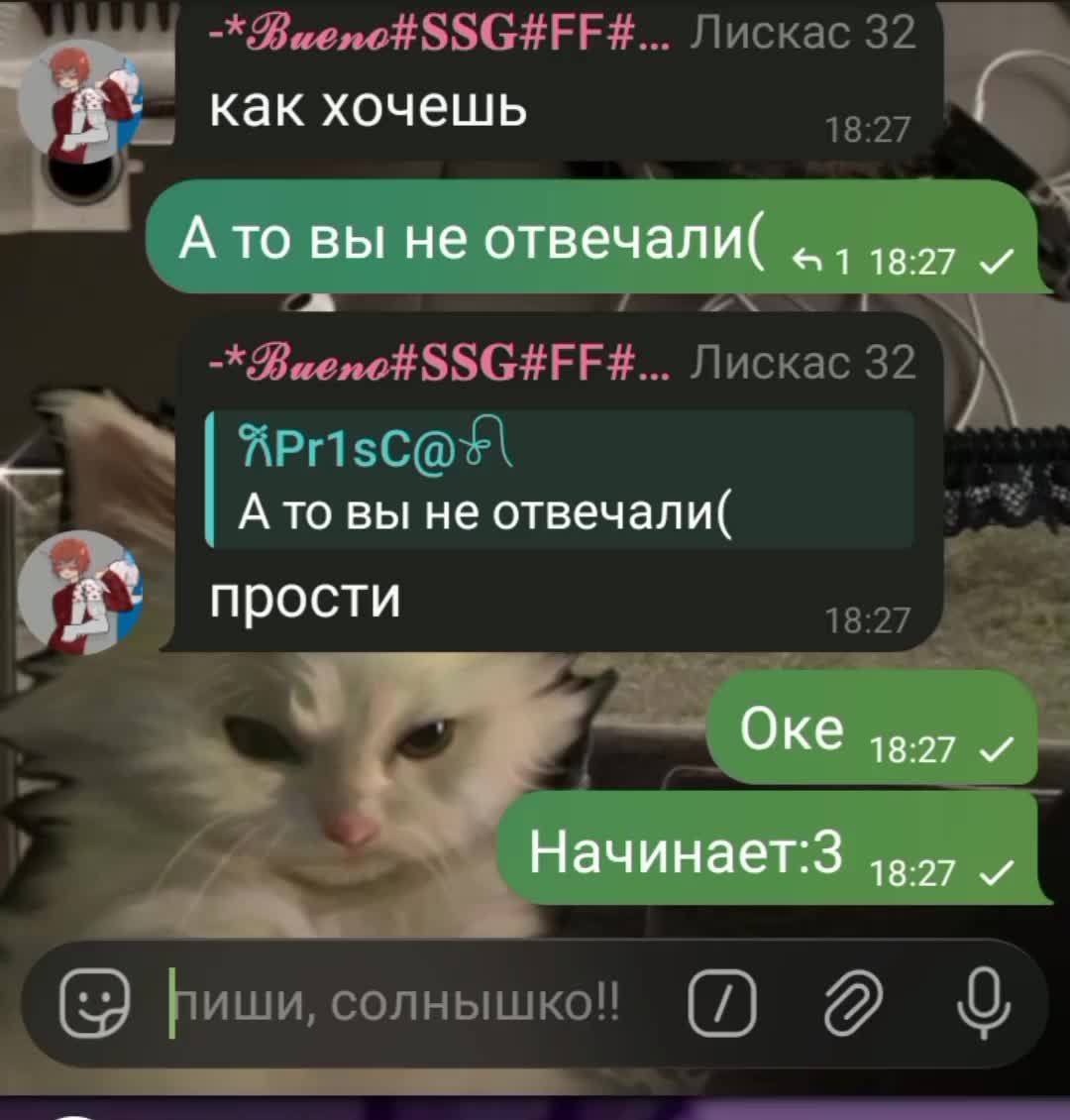 Монтажёр немного сходит с ума.. Ведётся | Ⲕʀ1ⲋⲔ@ⲊϜⳑⲟⲟⲇ (@colorful_cats)