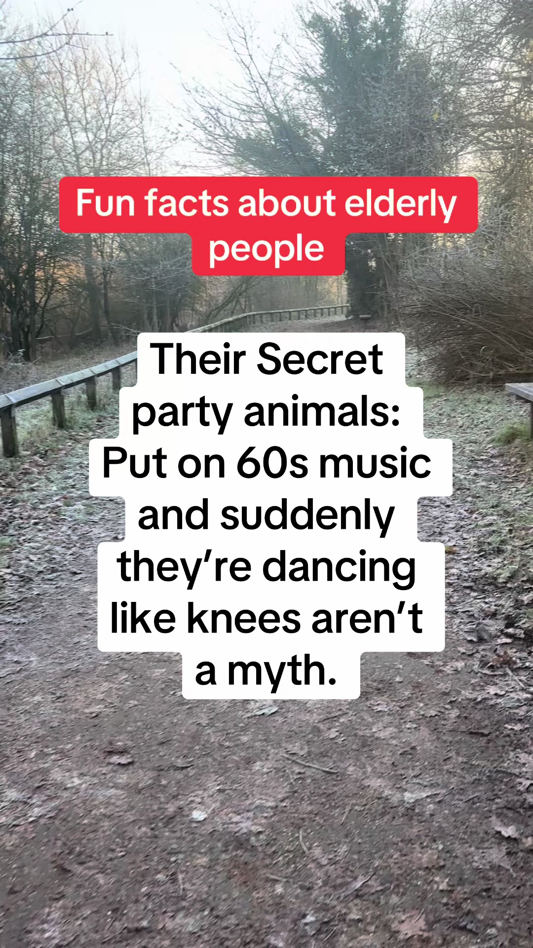 @Daily facts