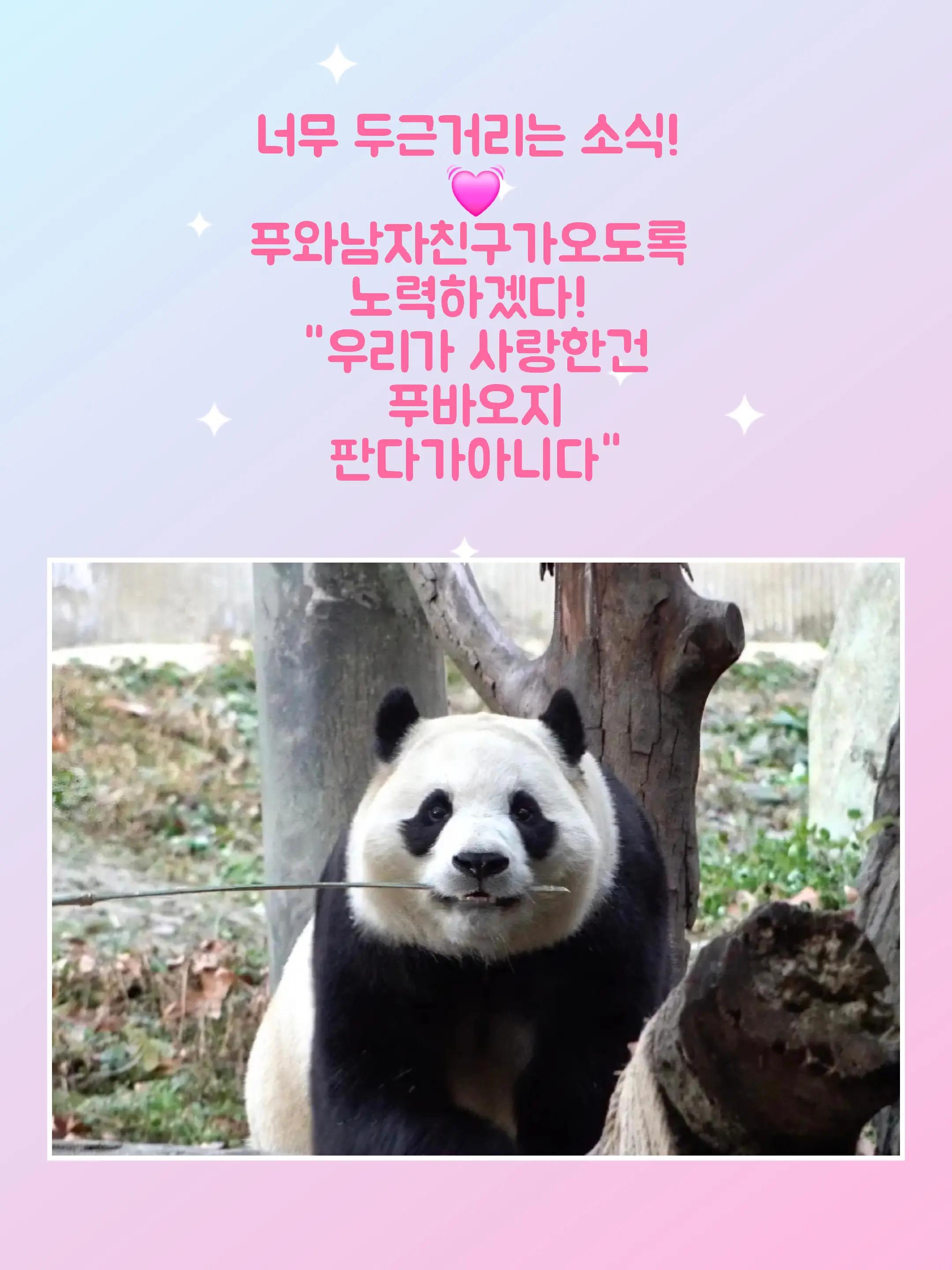 @반짝이는비니♡