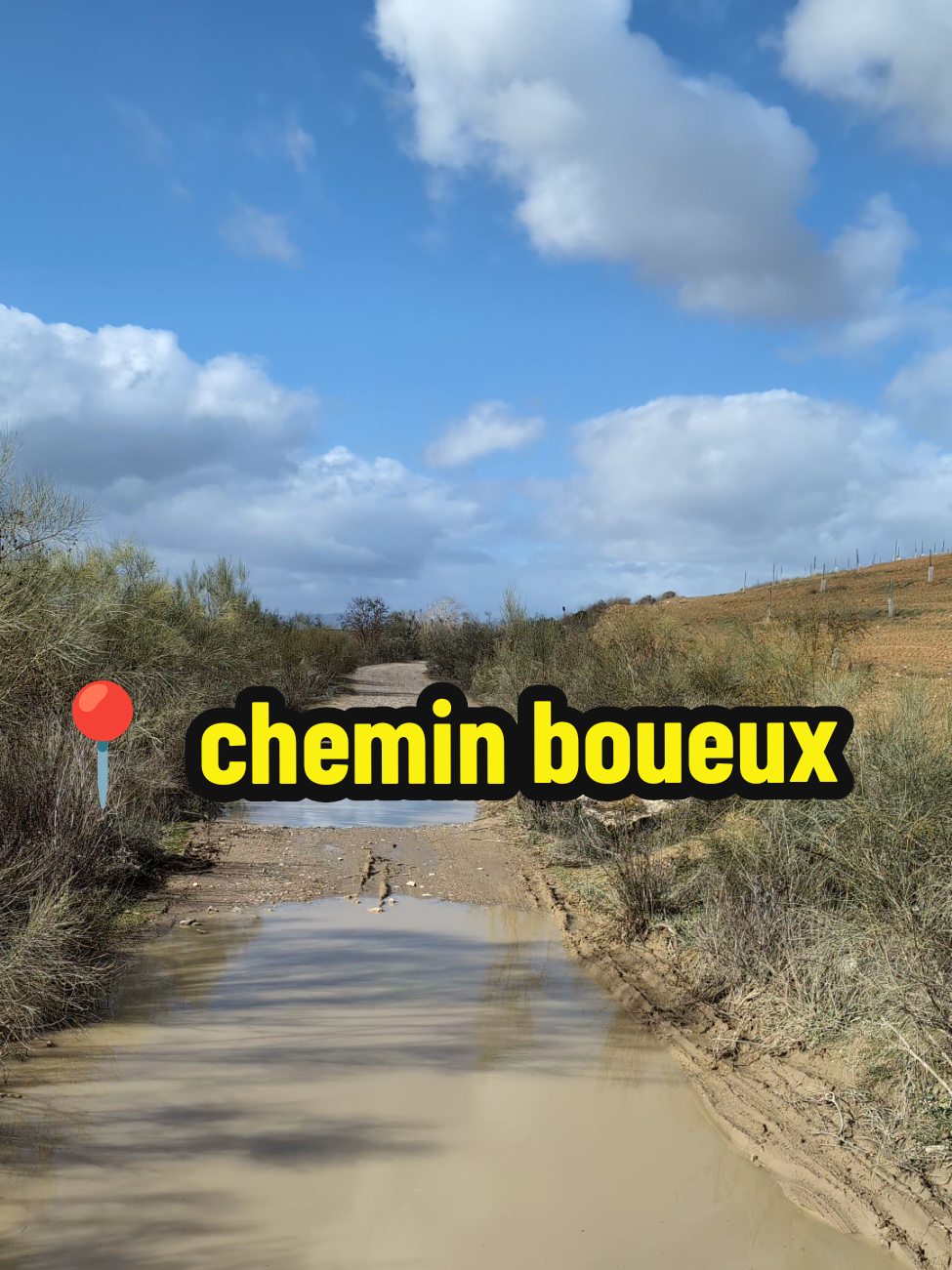 @Les Diminulu