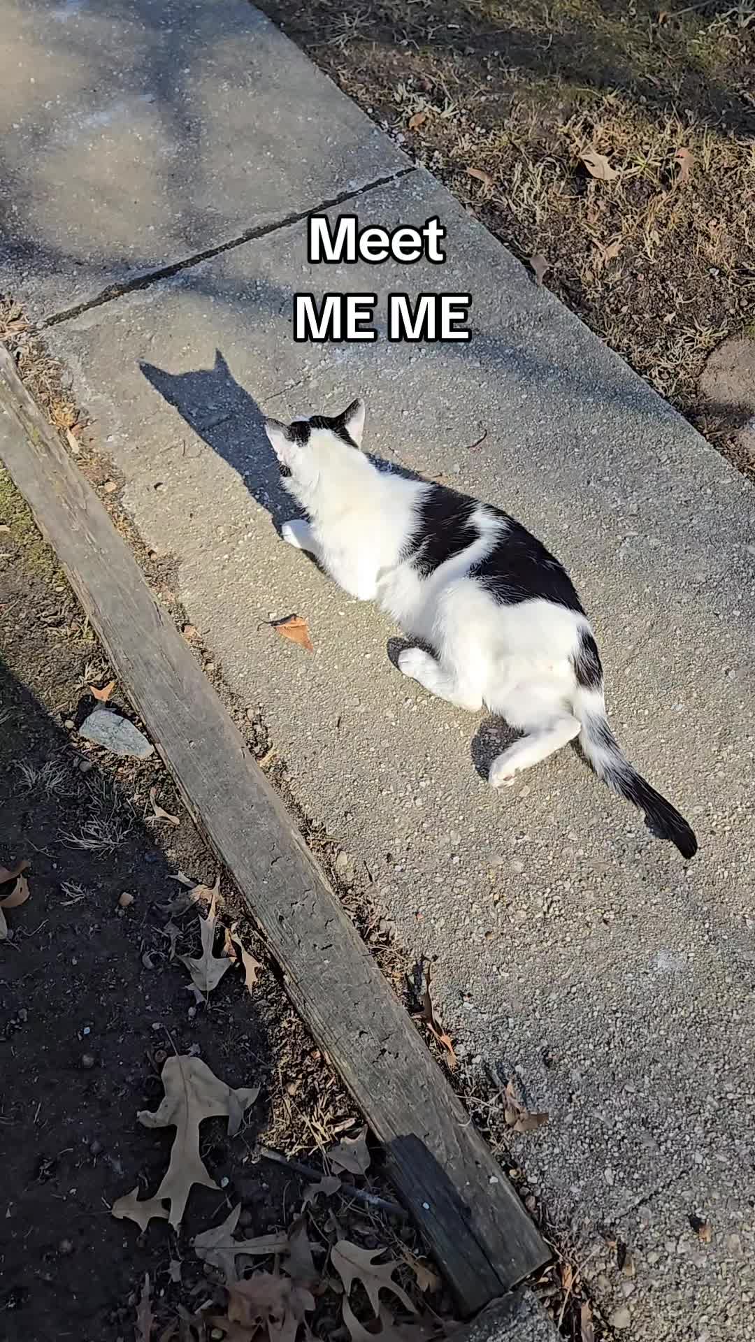 @Red