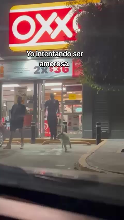 @𝖑𝖆__𝖕𝖆𝖓𝖙𝖊𝖗𝖆 01