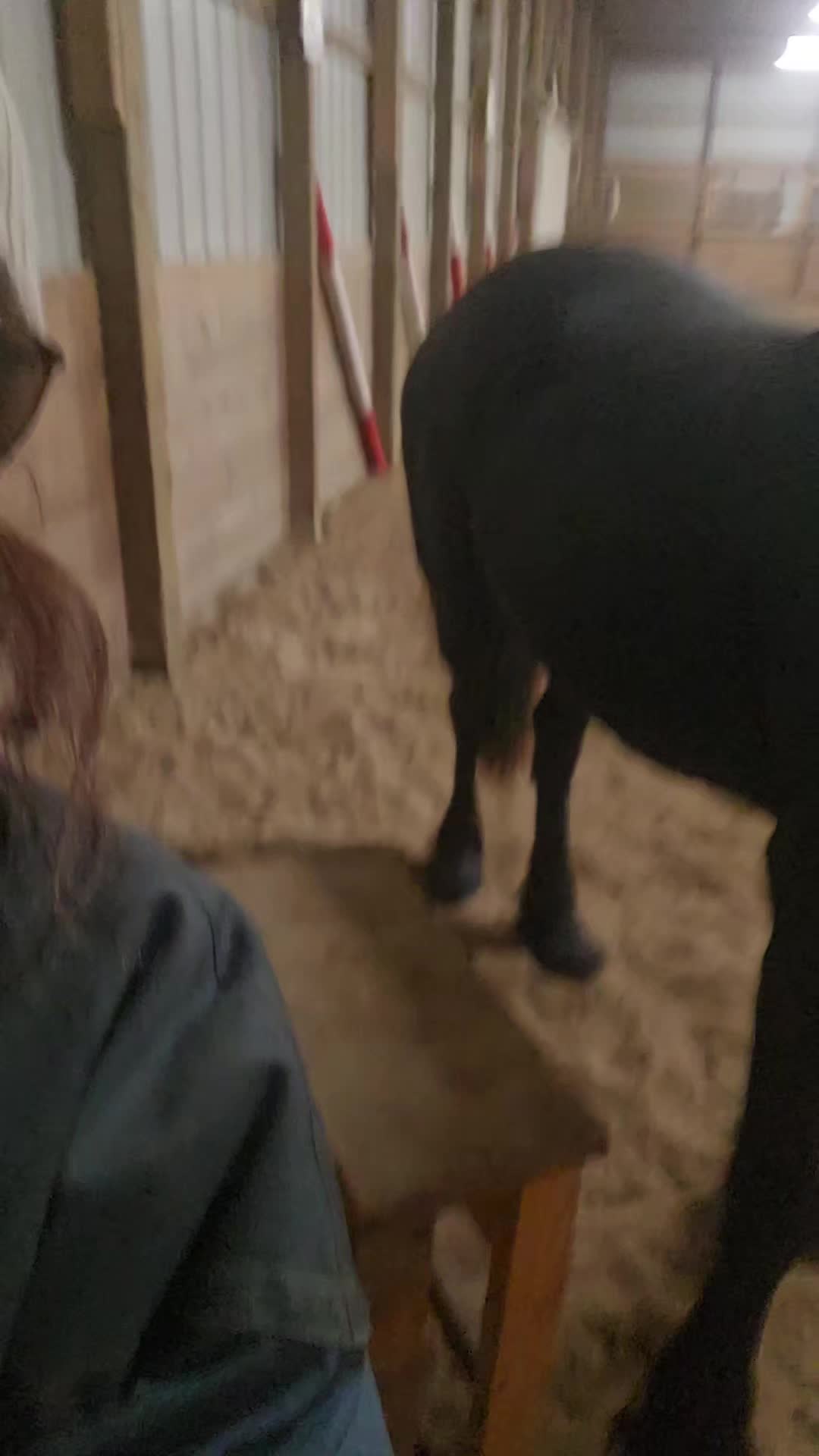 @Kismet Farm Crew