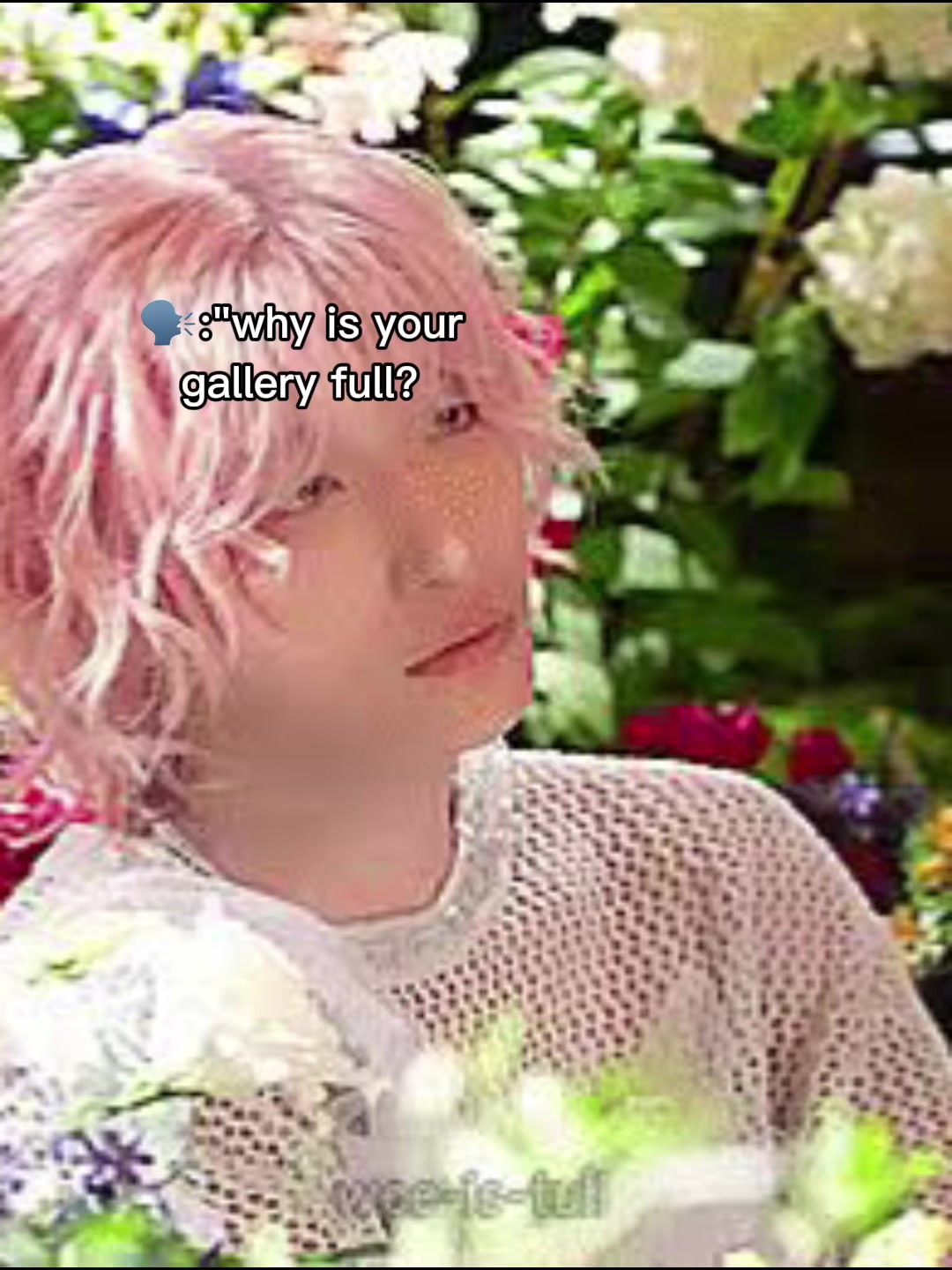 @🐝 HexyKitten🍯🐈
