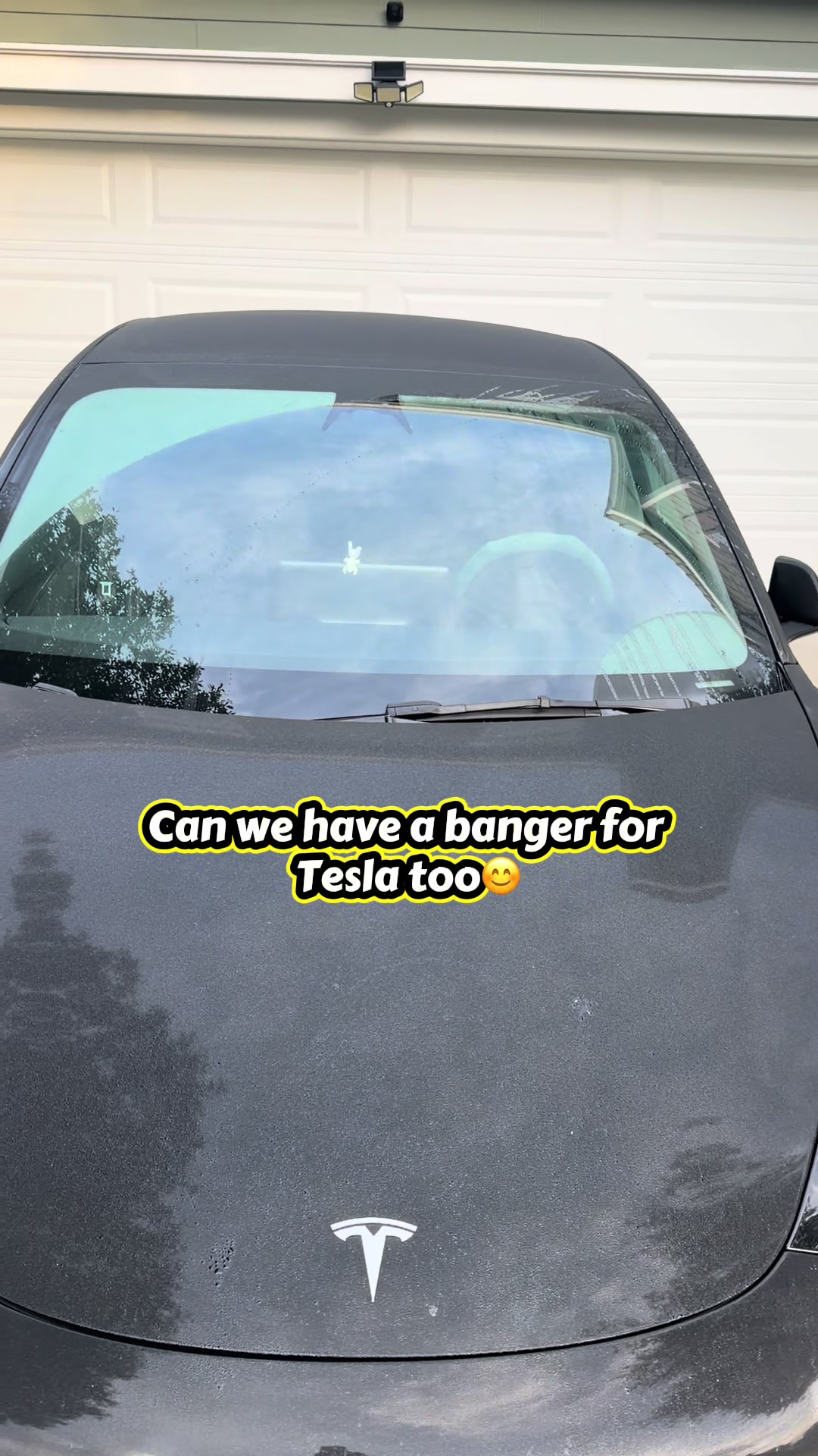 @tesla.for.everyone