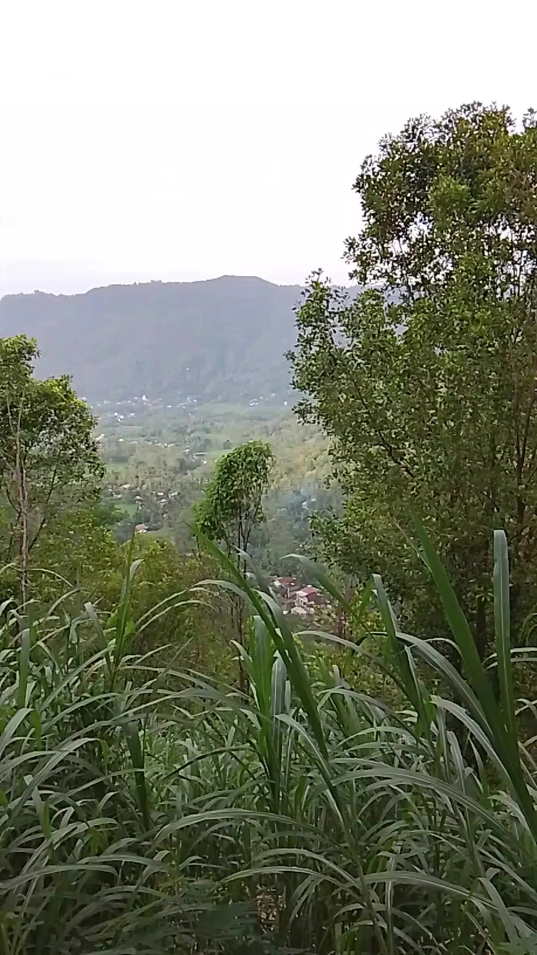 @BAROKAHKAMBING🐐