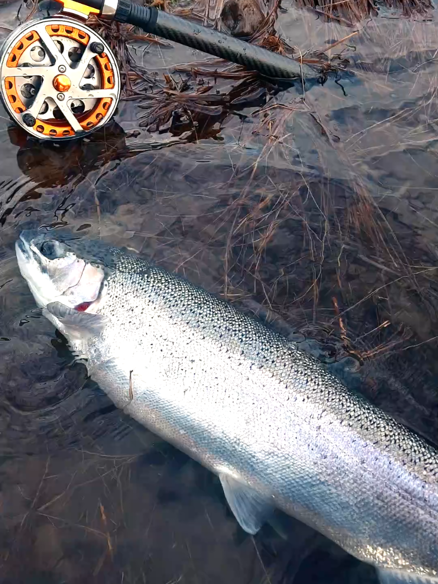 @the360angler
