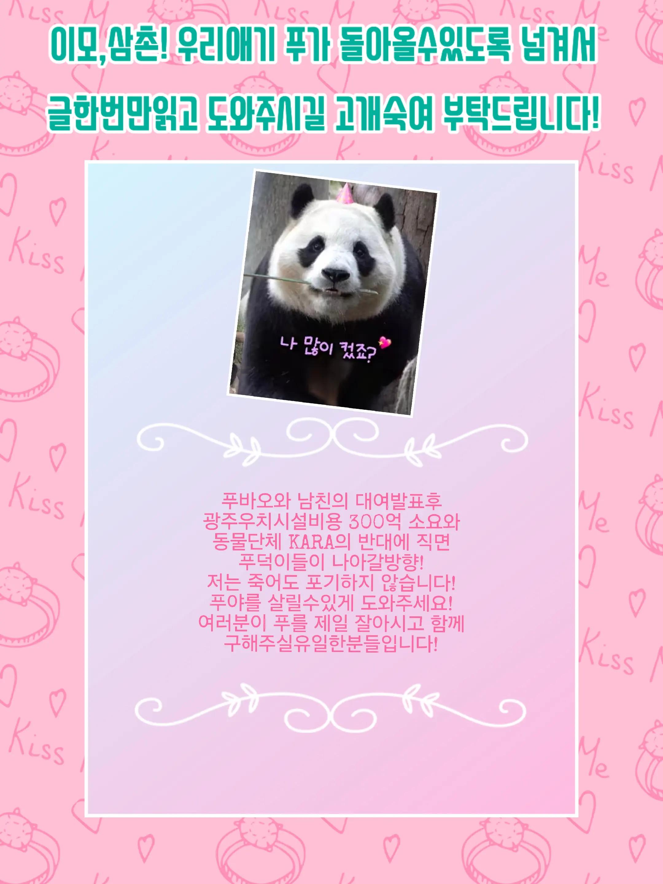 @반짝이는비니♡