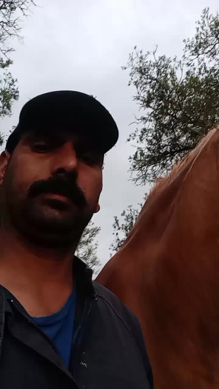 @banidhillon0