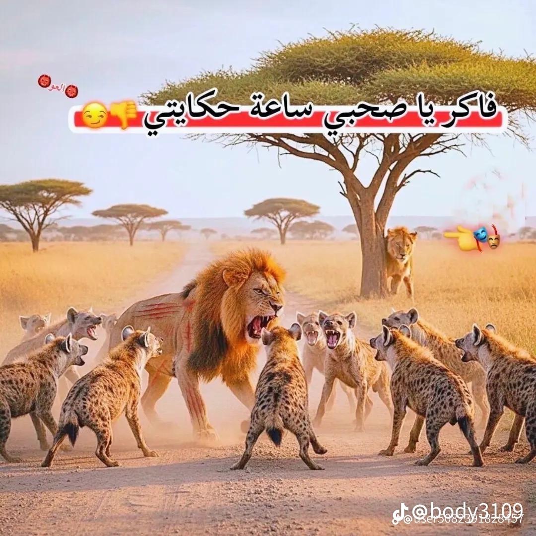 @اس̲بـ𝒂𝒔𝒃🤫 𝒂𝒏𝒊ــآن̲ي🇪🇸