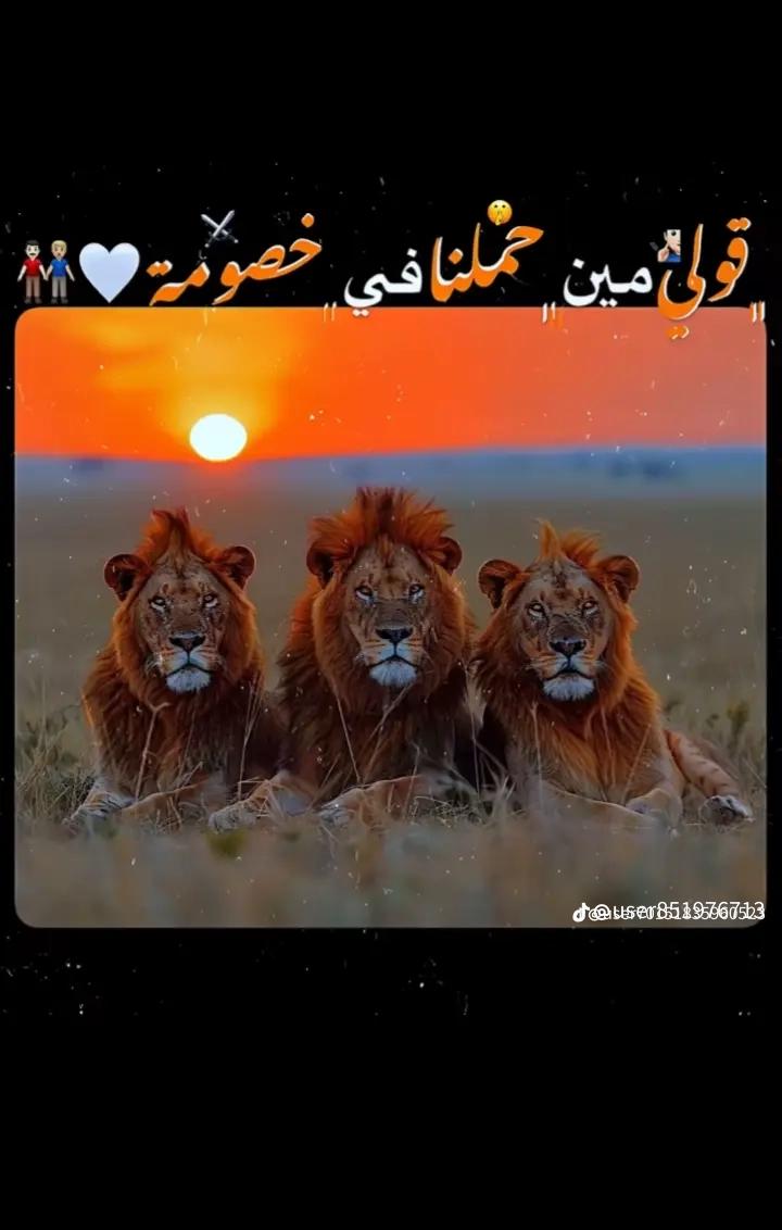 @اس̲بـ𝒂𝒔𝒃🤫 𝒂𝒏𝒊ــآن̲ي🇪🇸
