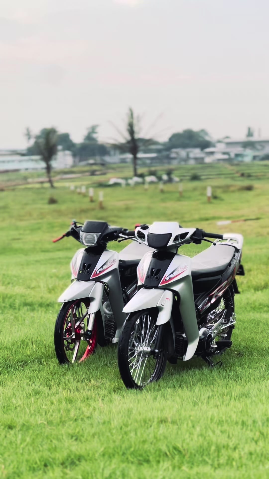@Fizr reborn