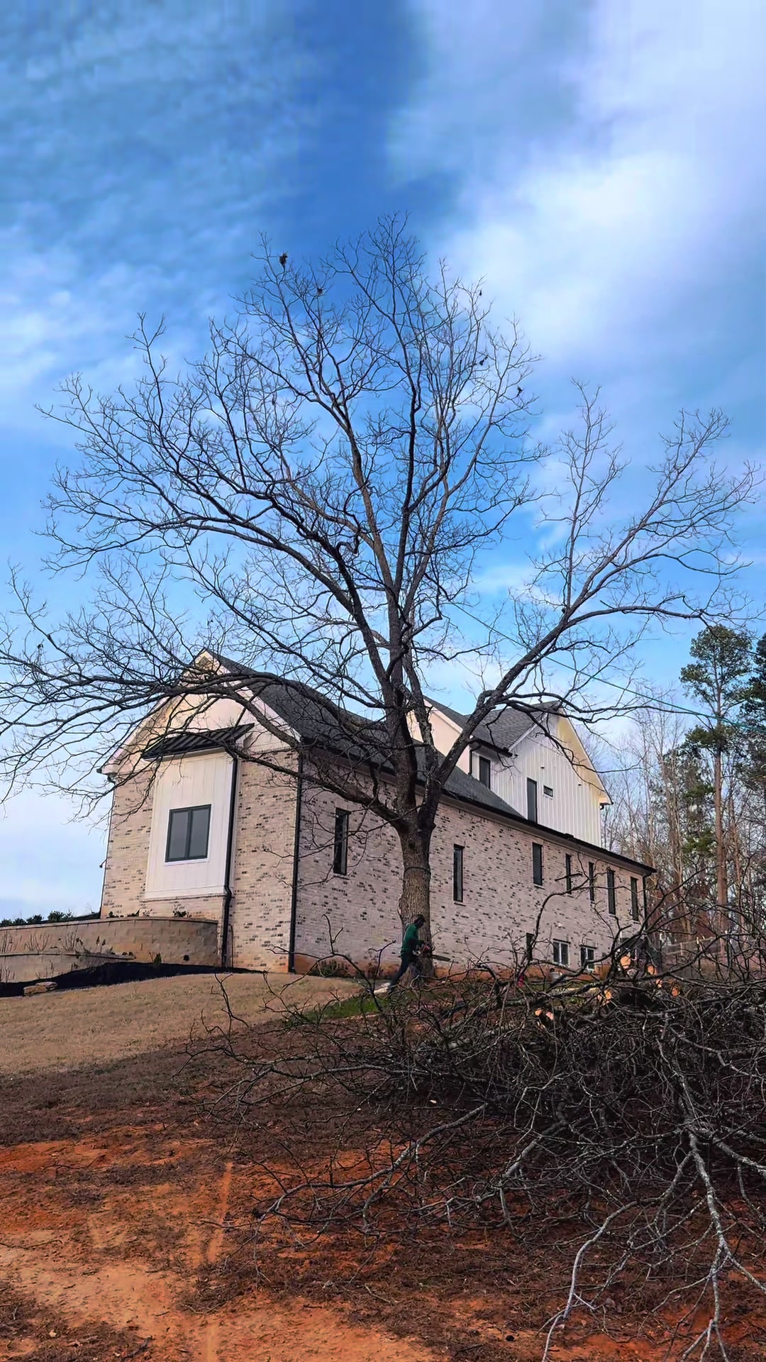@FIDELMAR TREE CARE LLC