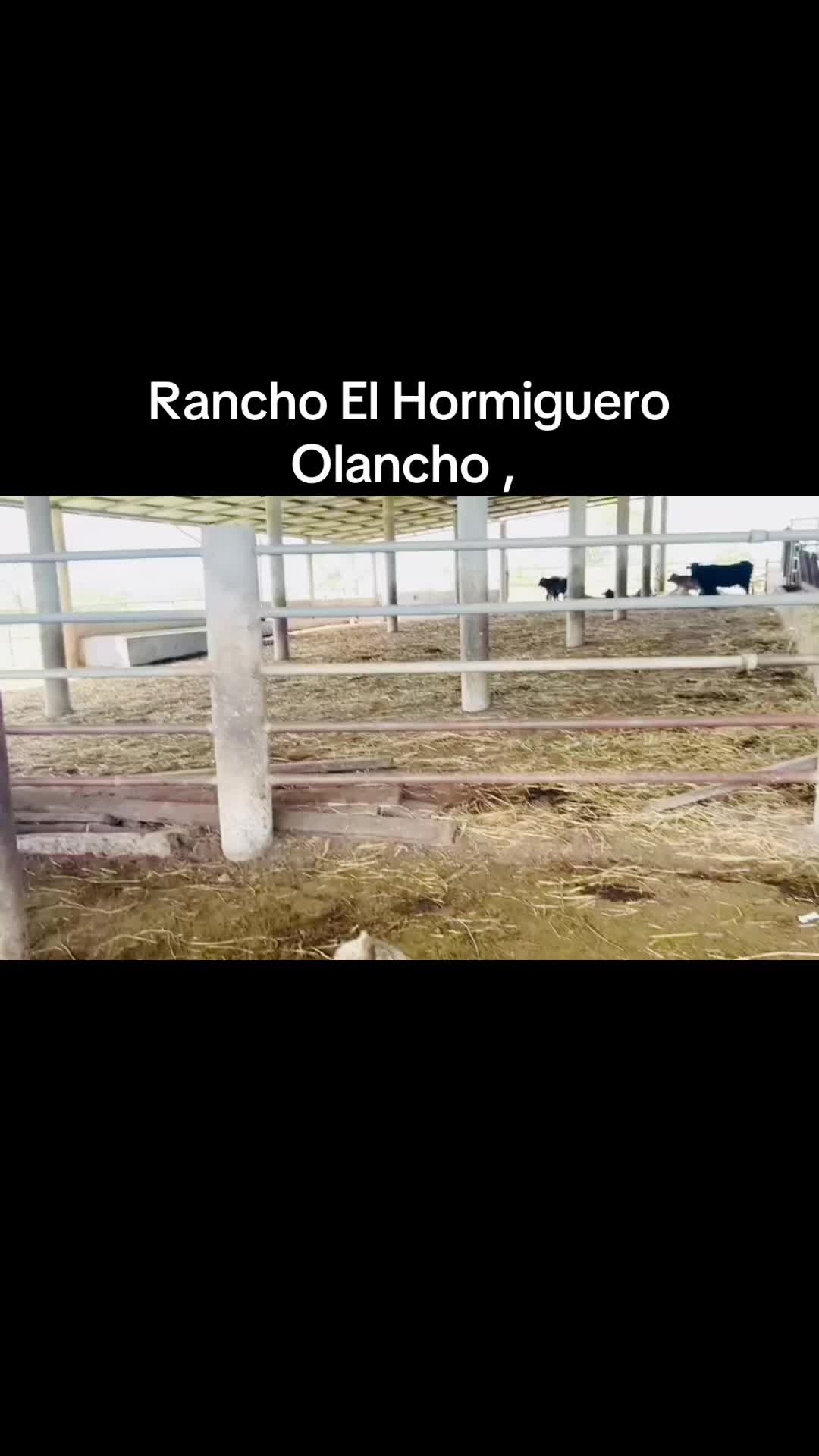 @Caballo loco 77