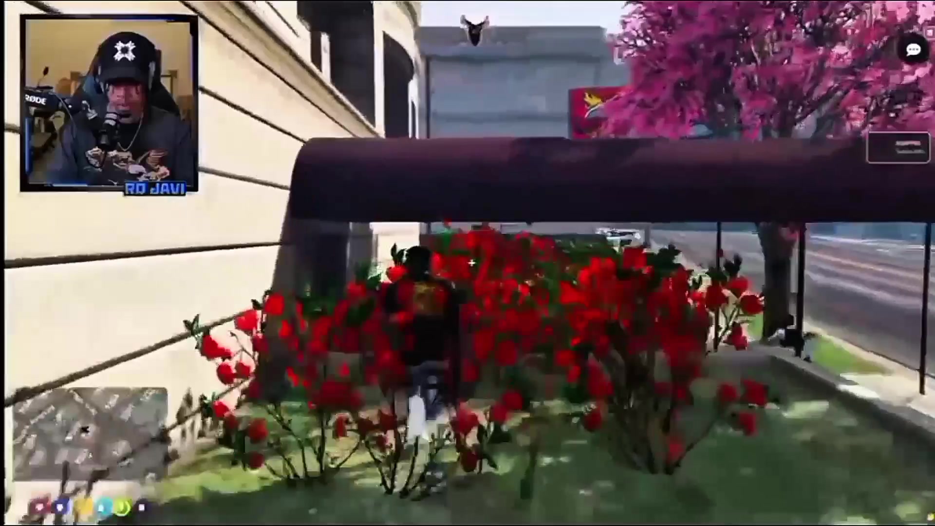 @Clips_RDjavi