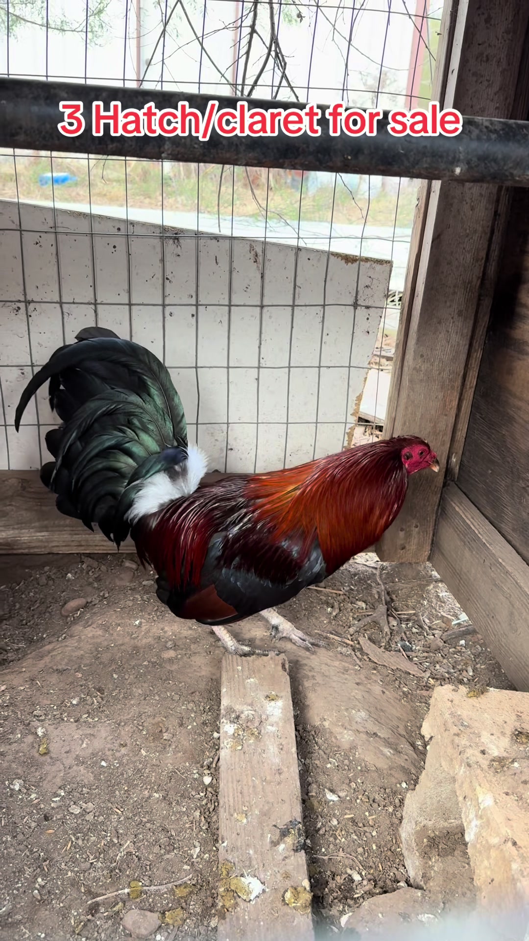 @Bryan Gamefarm