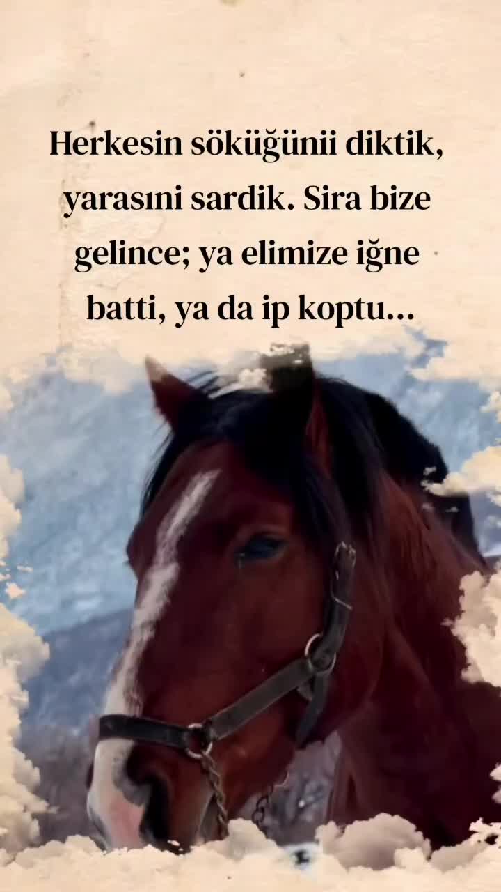 @CUNEYT'ELIFYILMAZ  RIZE'LI 53